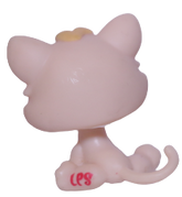 #1128 Kitten